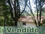 Vendido