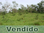 Vendido