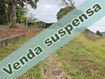 Venda suspensa