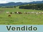 Vendido