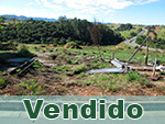 Vendido