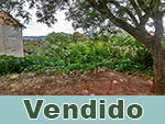 Vendido