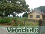 Vendido