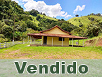 Vendido