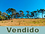 Vendido