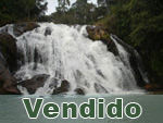 Vendido
